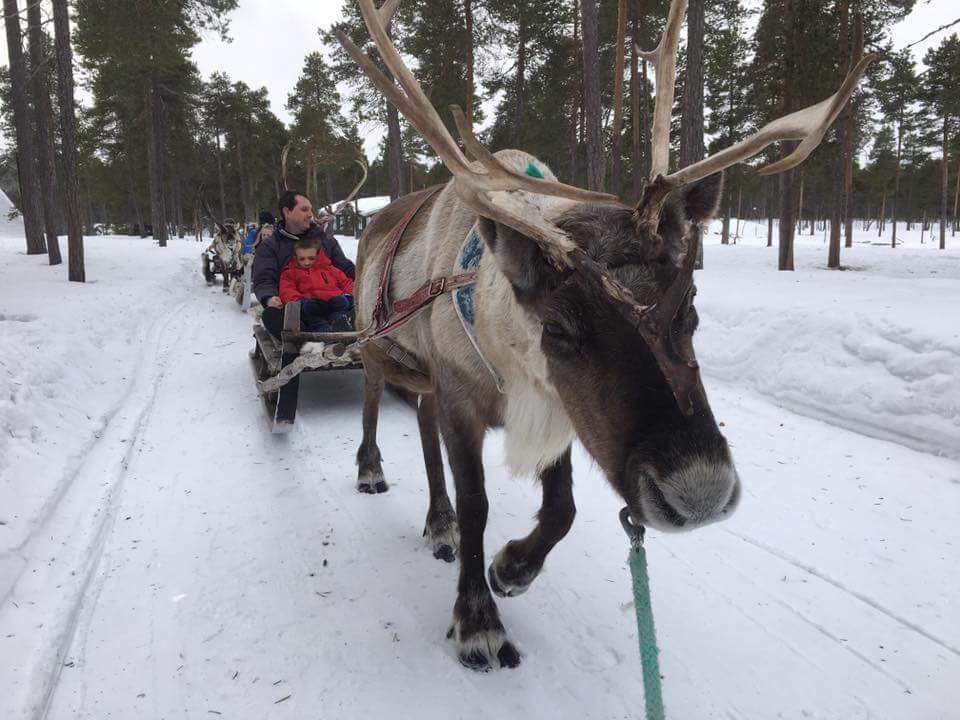 Lapland 2017 Day Three Blog
